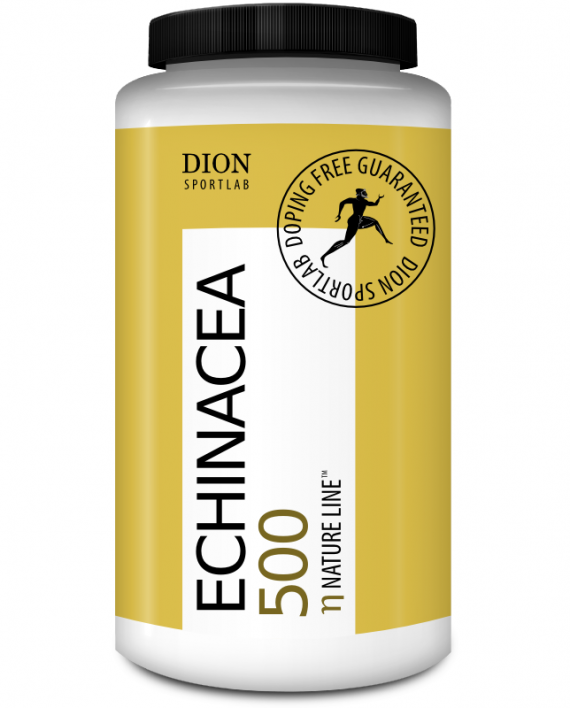 Echinacea 500