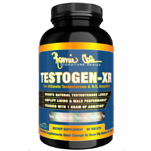 testo1234-500×500.png